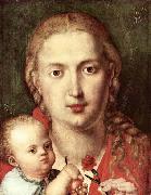 Albrecht Durer The Madonna of the Carnation oil on canvas